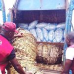 NDLEA ARRESTS DRIVER WITH 1,126KG OF INDIAN HEMP