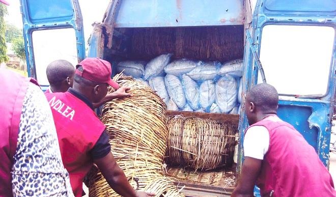 NDLEA ARRESTS DRIVER WITH INDIAN HEMP