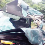 WOMAN KILLED, 7 INJURED AS VEHICLE VEERS INTO THICK FOREST